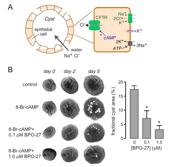 Fig. (9)