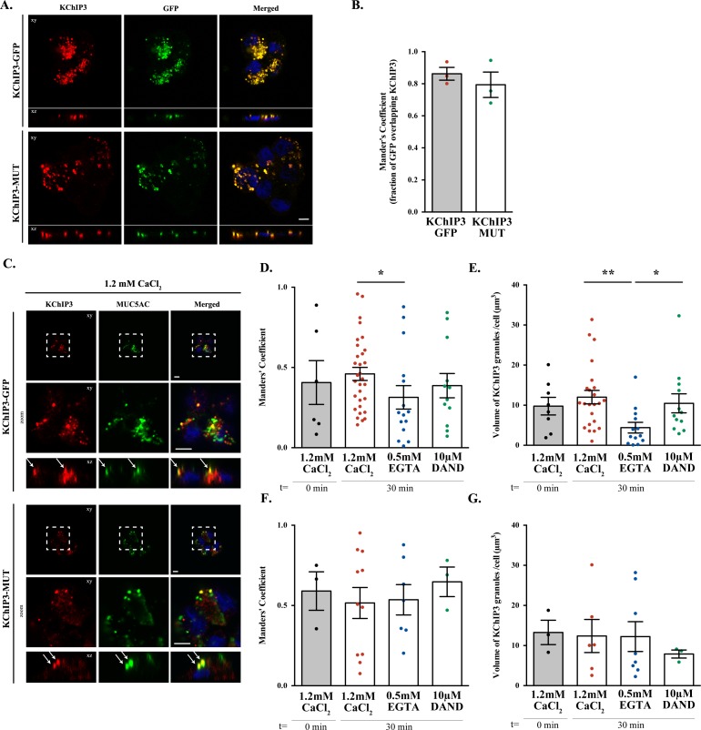 Figure 3—figure supplement 1.