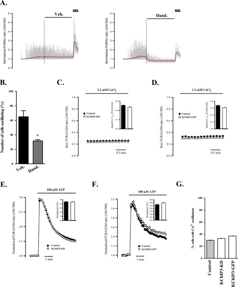 Figure 2—figure supplement 1.