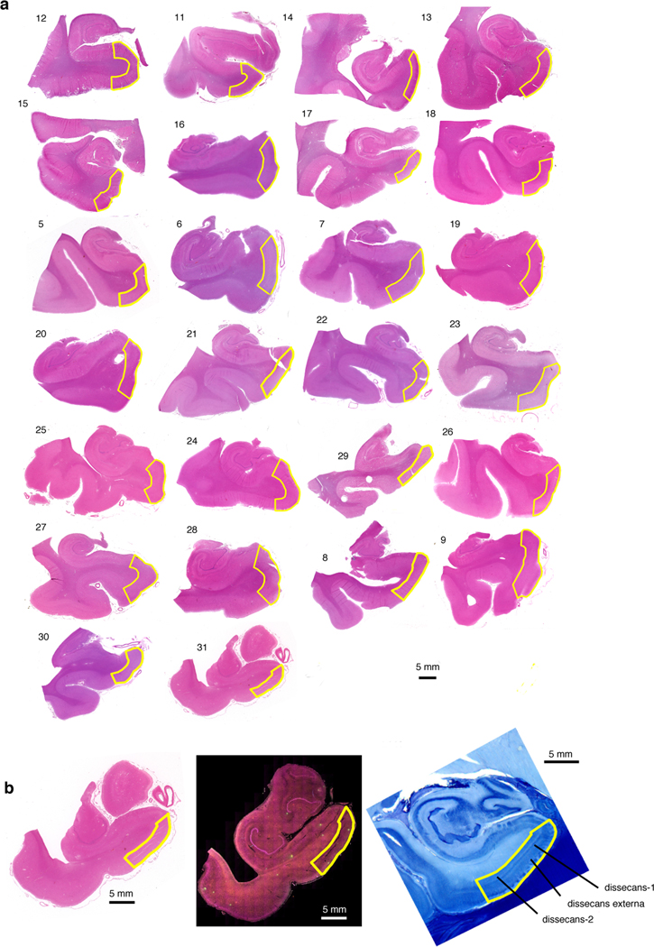 Extended Data Fig. 6