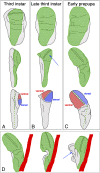 Fig. 4.