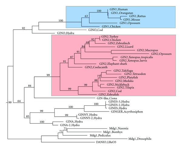 Figure 1