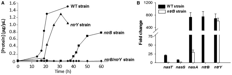 Figure 5.