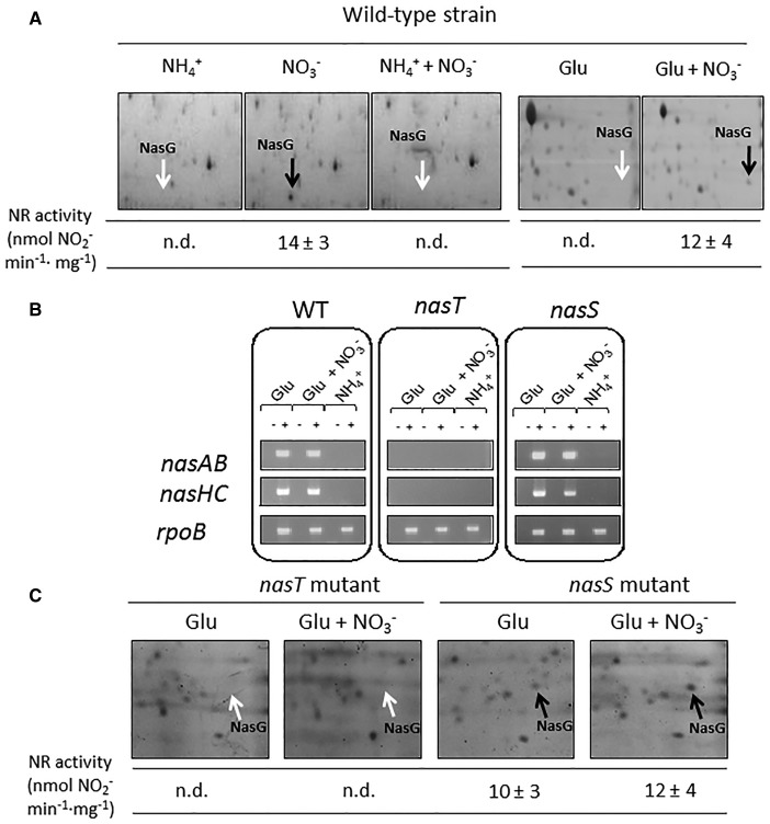 Figure 3.