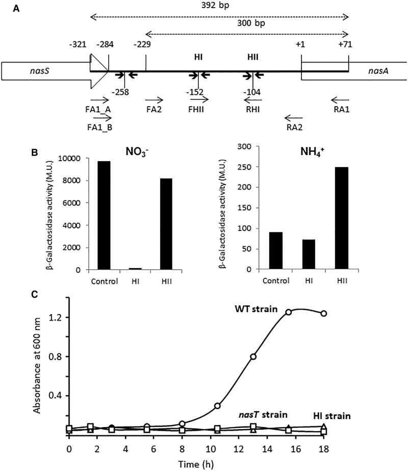 Figure 4.