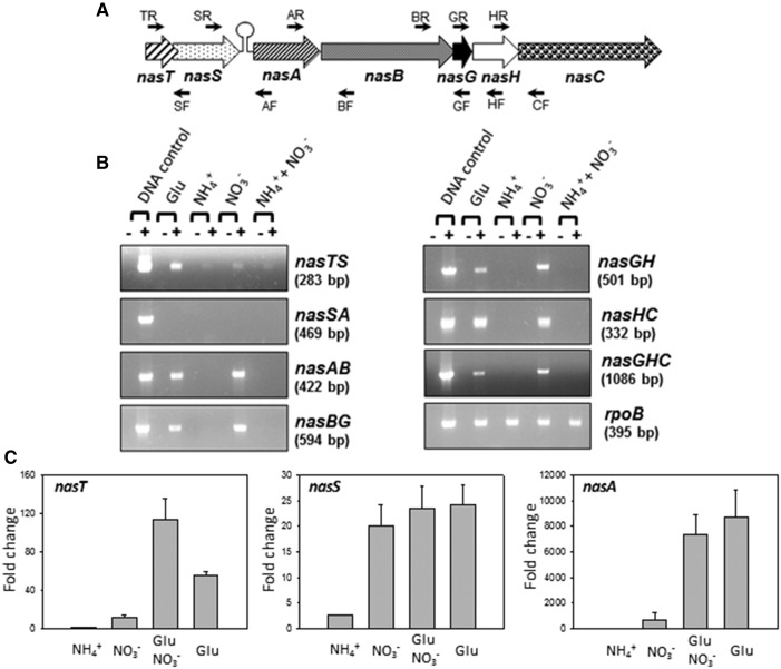 Figure 2.