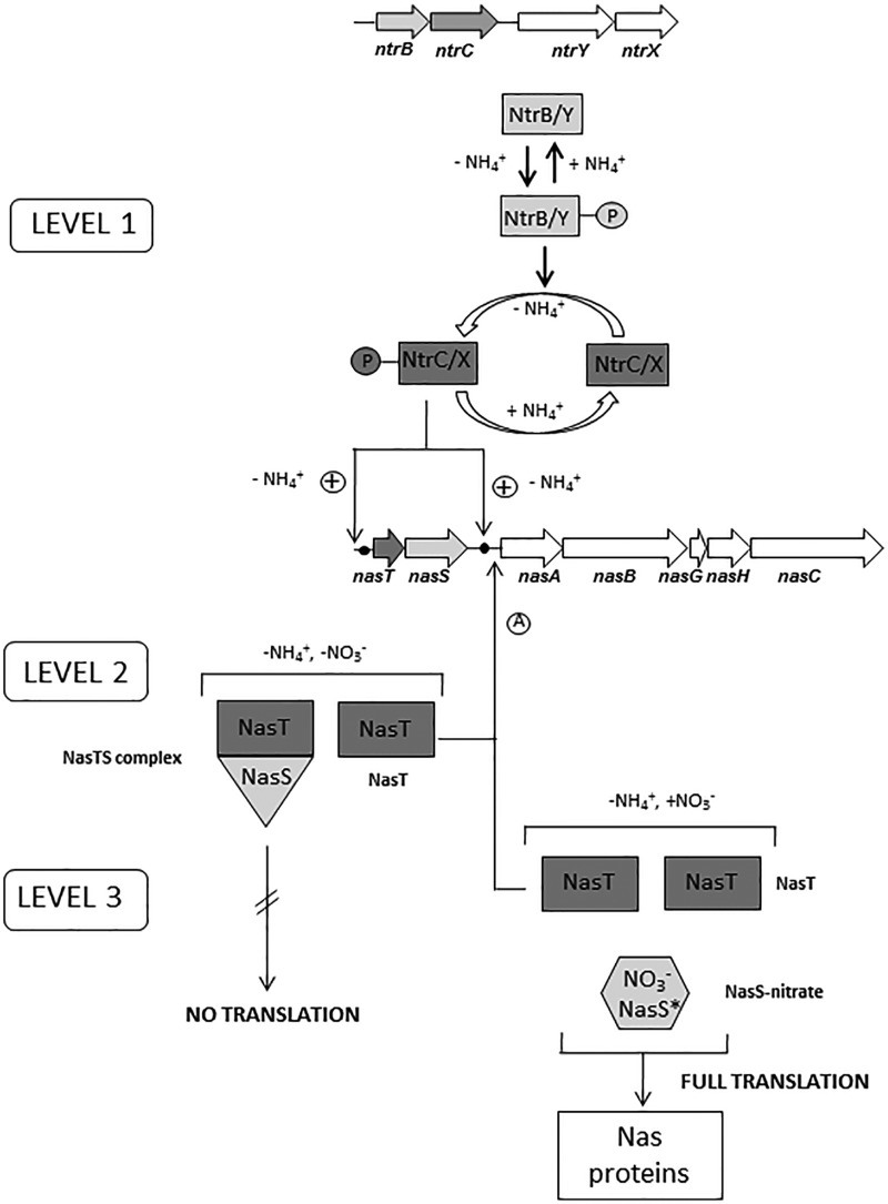 Figure 6.