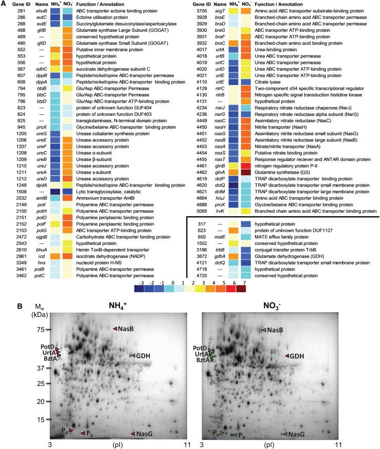 Figure 1.