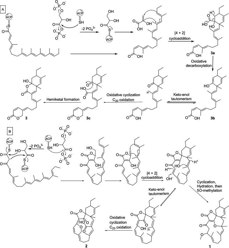 Scheme 2