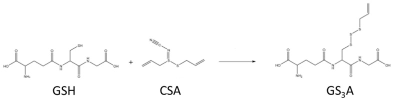 Scheme 3