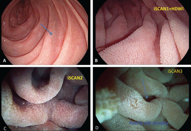 Figure 1)