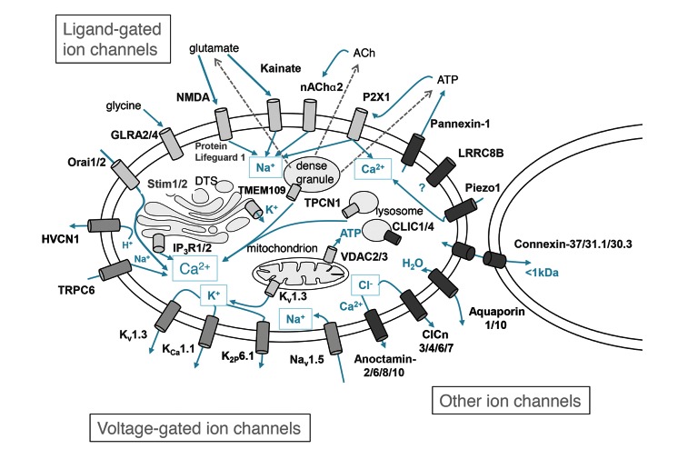 Figure 3: