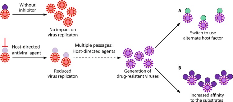 FIG 3