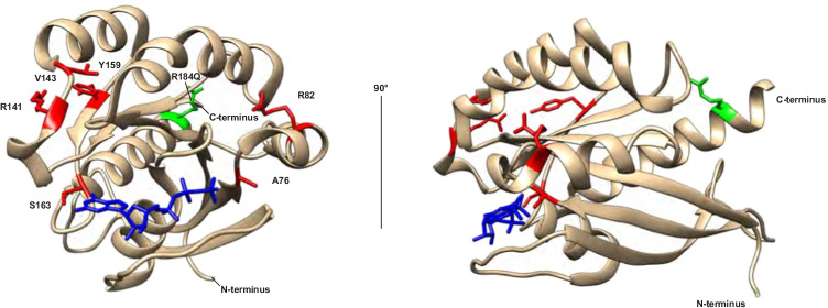 Fig. 4