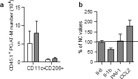 Figure 1—figure supplement 2.