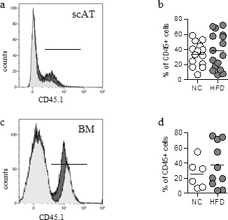 Figure 1—figure supplement 1.