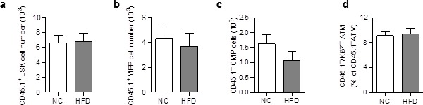 Figure 2—figure supplement 1.