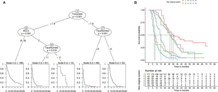 Figure 5