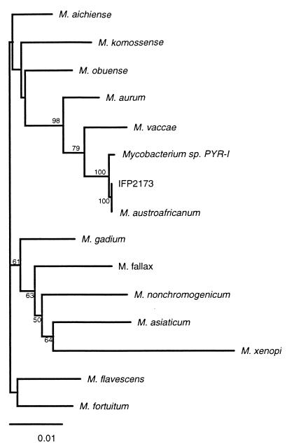 FIG. 1