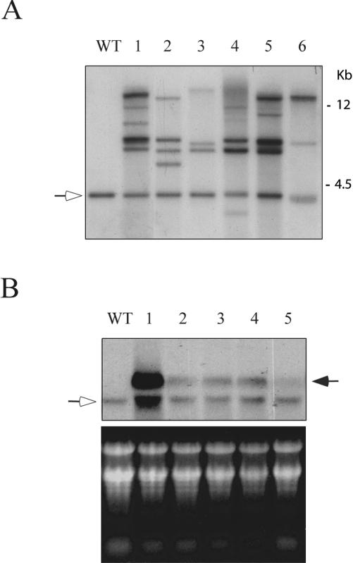 Figure 4.