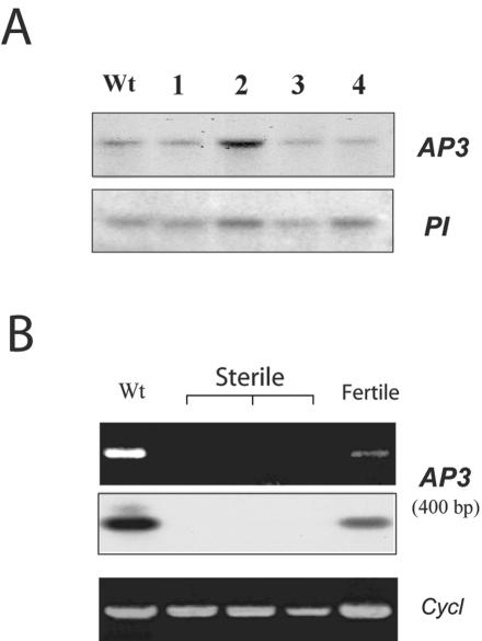 Figure 5.