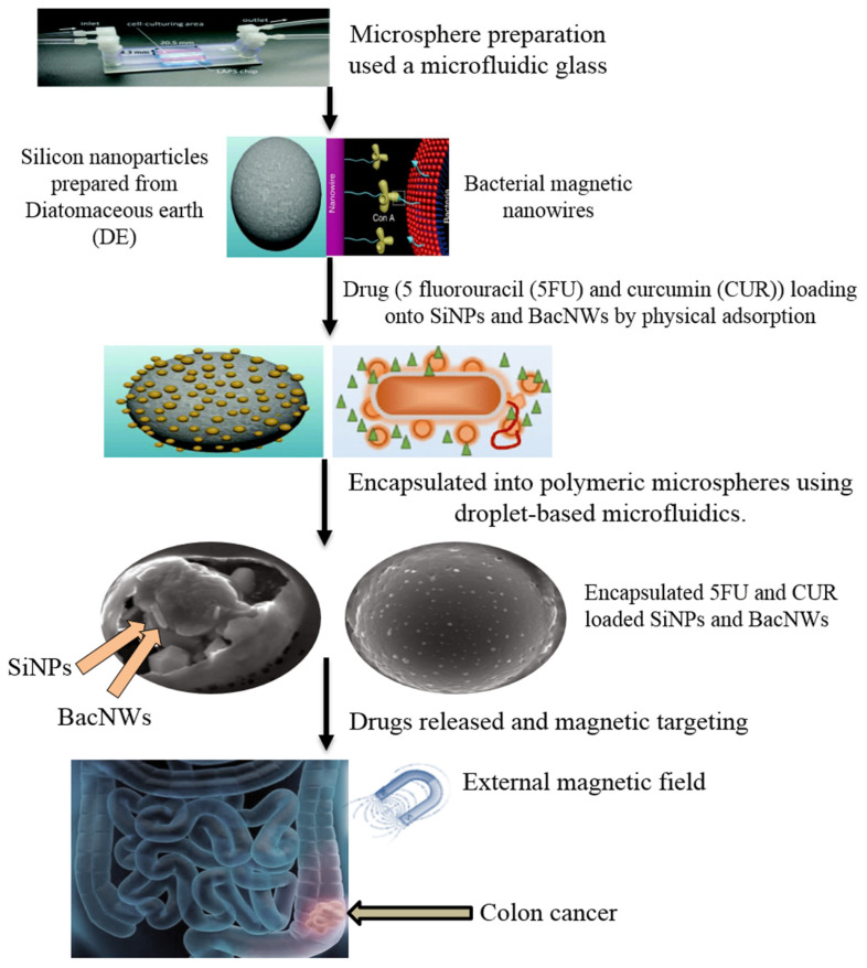 Figure 10