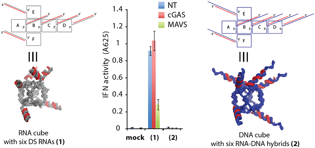 Figure 2.