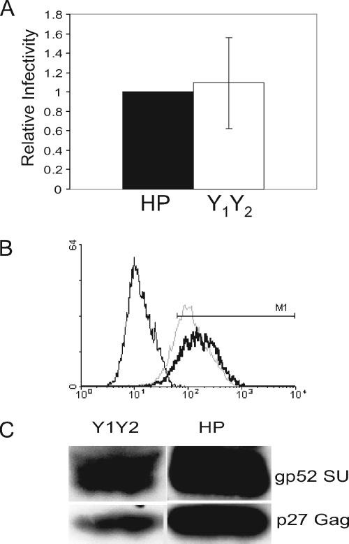 FIG. 2.