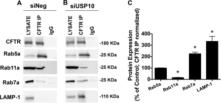 FIGURE 9.