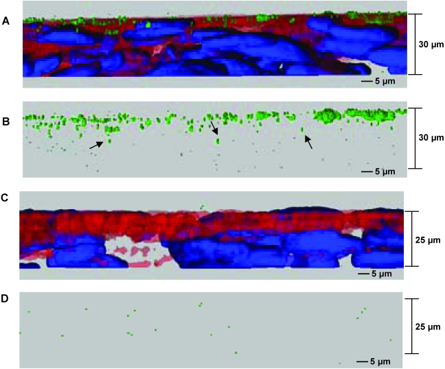 FIG. 4.