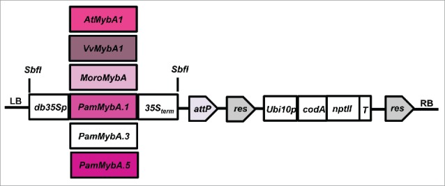 FIGURE 2.