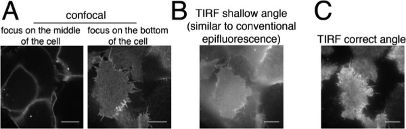 Figure 2: