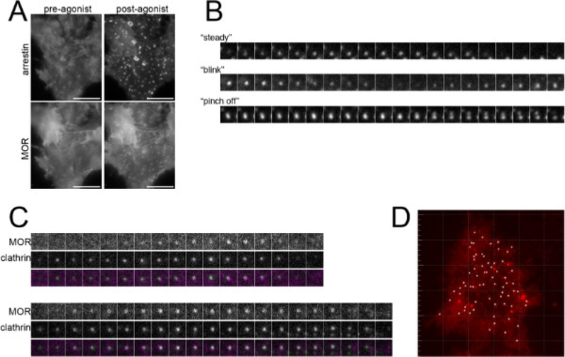 Figure 3: