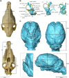 Fig. 3