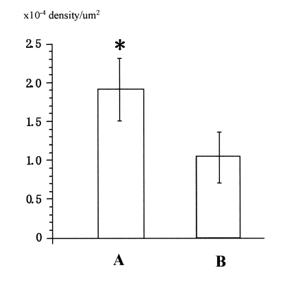 Figure 2)