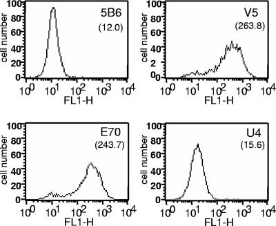 FIG. 7.