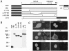 FIG. 2.