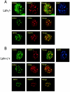 FIG. 6.