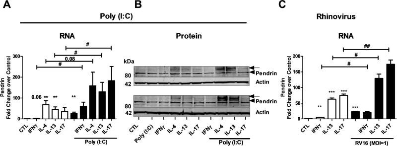 Fig. 9