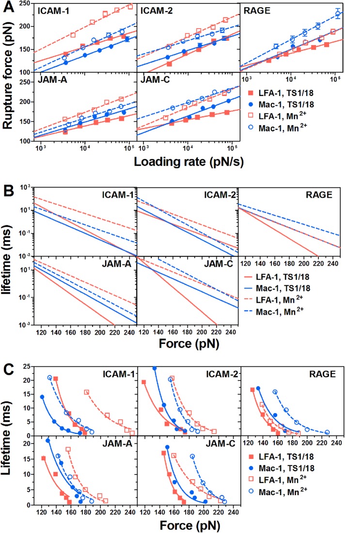 FIGURE 3: