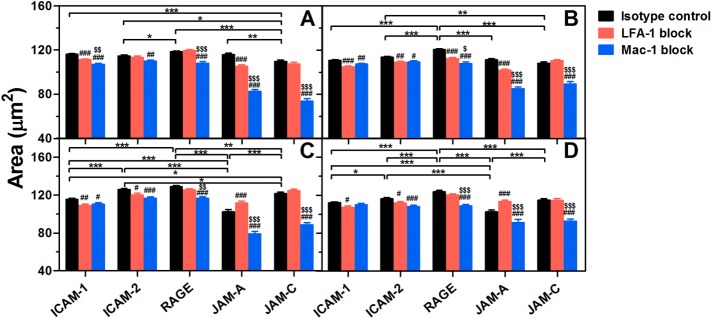 FIGURE 5: