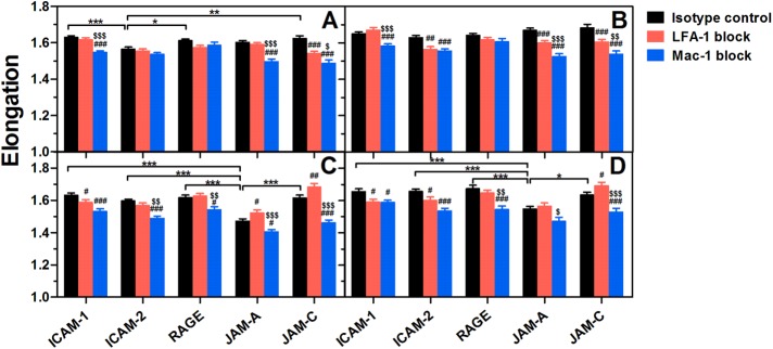 FIGURE 6: