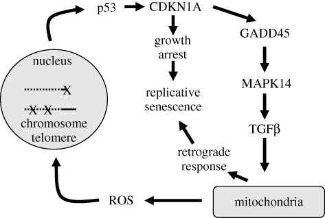 Figure 2.