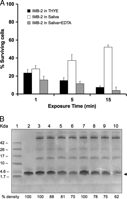 Fig. 8.