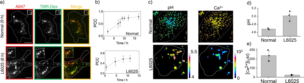 Figure-5: