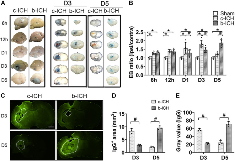 FIGURE 3