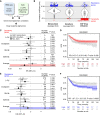 Figure 7. Drug response in the organoid–stroma biobank is linked to distinct colorectal cancer patient outcomes. A, Strategy for the identification of pharmacotranscriptomic signatures (see Methods). B, Violin plots show the transcriptome-wide distribution of Spearman correlation coefficients (rho). Sensitivity (red) and resistance (blue) genes were filtered (rho < −0.5, rho >0.35, and P < 0.05, respectively). Correlations to the absolute response in monocultures and in cocultures (average AUC of 5-FU, oxaliplatin, SN-38, and gefitinib) and the relative response (AUCco/AUCmono) defined as CAF drug influence. C and D, Prognostic value of signatures linked with drug sensitivity. A public cohort (GSE39582) was divided into high- and low-expression groups. C, Forest plot shows HR with 95% confidence interval (CI) for RFS in the high-expression group. Signatures were derived from AUC in monoculture, coculture, and relative change (AUCco/AUCmono) from each drug alone and from the average. For each signature, the number of genes and log-rank statistics (P value) are listed. NA, no correlated genes were present in GSE39582. D, Kaplan–Meier plot for high (red) and low (gray) expression of the sensitivity signature (CAF drug influence). E and F, Prognostic value of genes linked to drug resistance. Data are shown as above. F, Kaplan–Meier analysis with resistance signature derived from CAF drug influence. P values for C–F were calculated using a univariate log-rank test. See Supplementary Fig. S12 and Supplementary Table S11.
