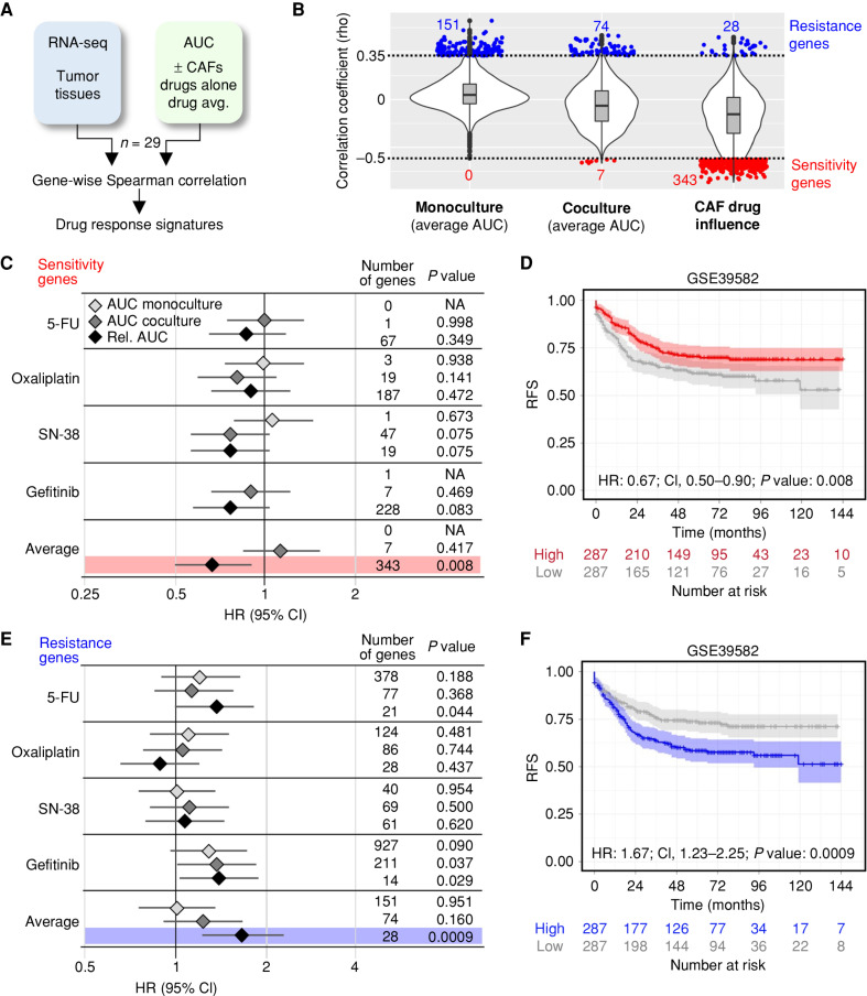 Figure 7. Drug response in the organoid–stroma biobank is linked to distinct colorectal cancer patient outcomes. A, Strategy for the identification of pharmacotranscriptomic signatures (see Methods). B, Violin plots show the transcriptome-wide distribution of Spearman correlation coefficients (rho). Sensitivity (red) and resistance (blue) genes were filtered (rho < −0.5, rho >0.35, and P < 0.05, respectively). Correlations to the absolute response in monocultures and in cocultures (average AUC of 5-FU, oxaliplatin, SN-38, and gefitinib) and the relative response (AUCco/AUCmono) defined as CAF drug influence. C and D, Prognostic value of signatures linked with drug sensitivity. A public cohort (GSE39582) was divided into high- and low-expression groups. C, Forest plot shows HR with 95% confidence interval (CI) for RFS in the high-expression group. Signatures were derived from AUC in monoculture, coculture, and relative change (AUCco/AUCmono) from each drug alone and from the average. For each signature, the number of genes and log-rank statistics (P value) are listed. NA, no correlated genes were present in GSE39582. D, Kaplan–Meier plot for high (red) and low (gray) expression of the sensitivity signature (CAF drug influence). E and F, Prognostic value of genes linked to drug resistance. Data are shown as above. F, Kaplan–Meier analysis with resistance signature derived from CAF drug influence. P values for C–F were calculated using a univariate log-rank test. See Supplementary Fig. S12 and Supplementary Table S11.