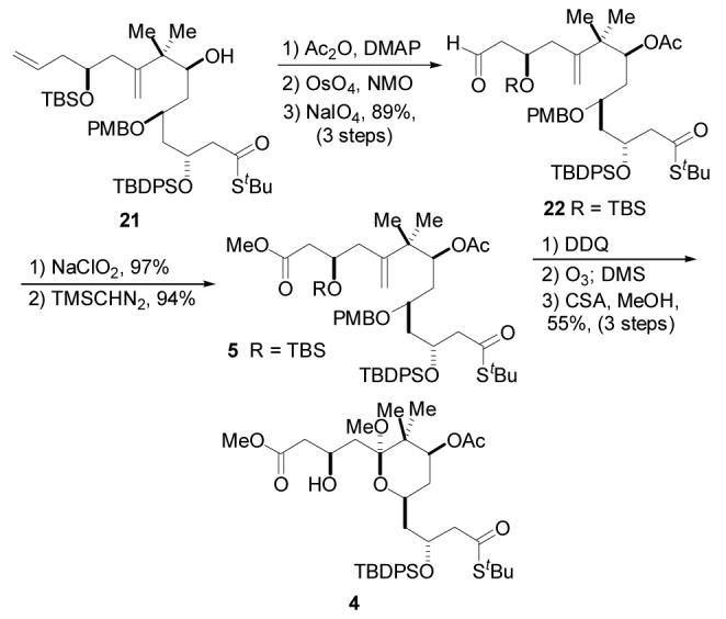 Scheme 4