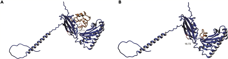 Figure 7